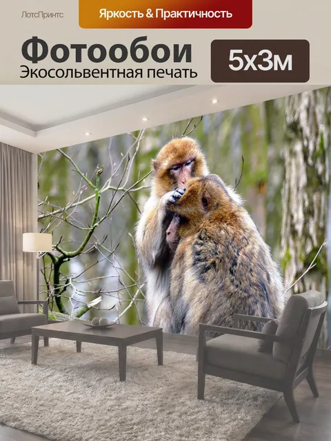 500 × 300 см · Экосольвентная печать