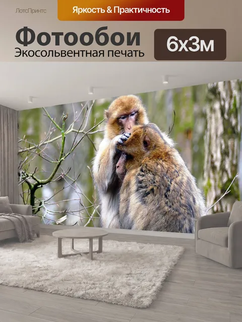 600 × 300 см · Экосольвентная печать