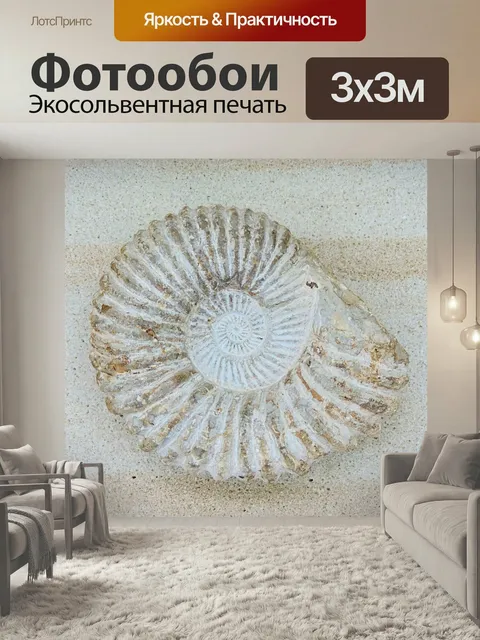 Фотообои Аммонит, окаменение, первобытные времена
