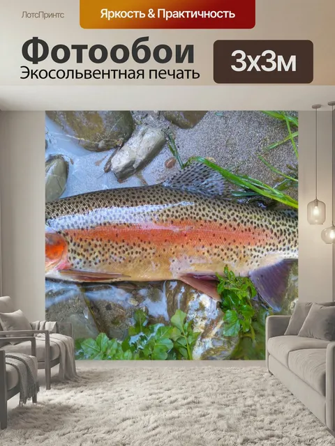 Фотообои Рыбы, вода, рыбак