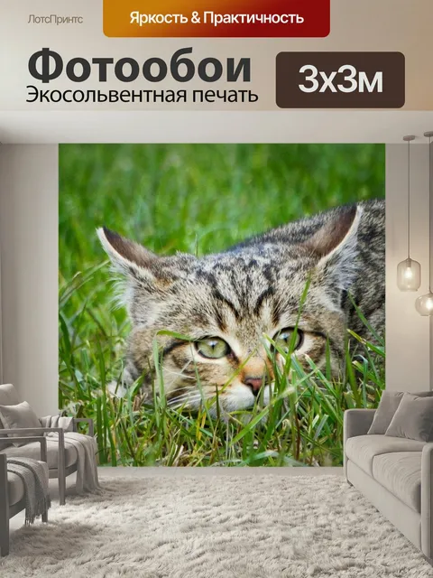 Фотообои Кошка, котенок, полосатый