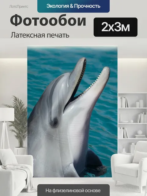 200 × 300 см · Латексная печать