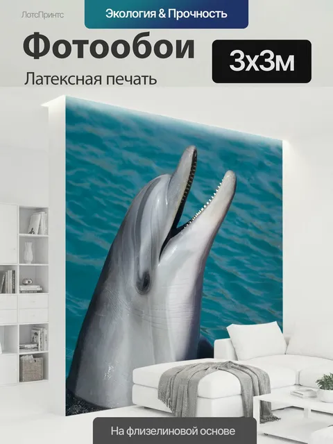 300 × 300 см · Латексная печать