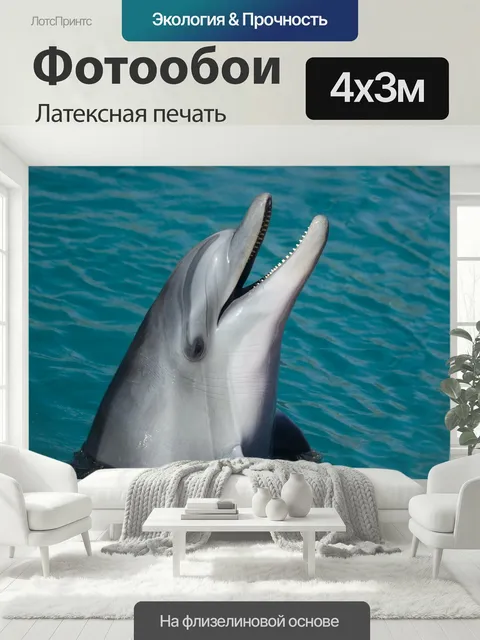 400 × 300 см · Латексная печать