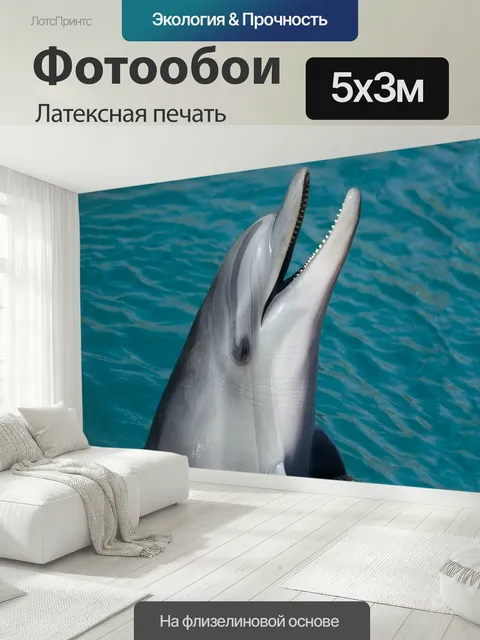 500 × 300 см · Латексная печать