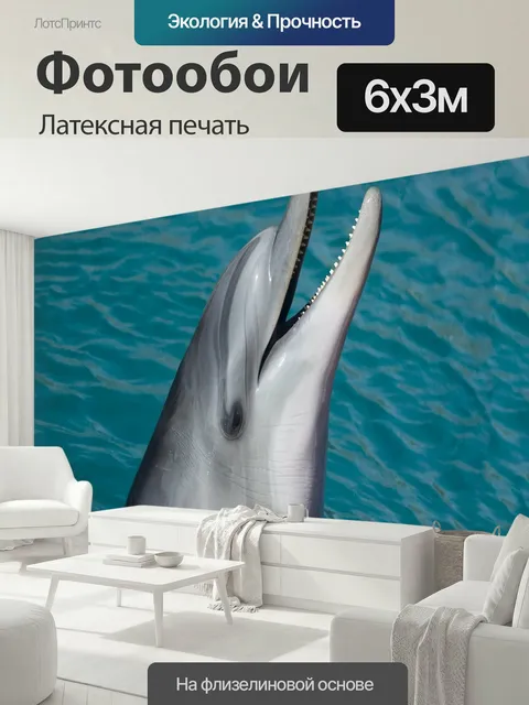 600 × 300 см · Латексная печать
