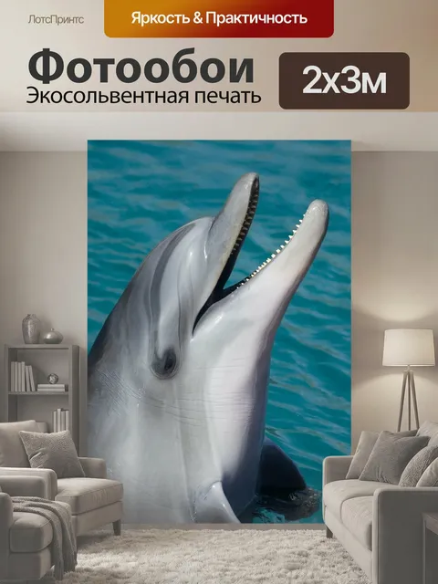 200 × 300 см · Экосольвентная печать