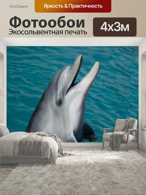 400 × 300 см · Экосольвентная печать