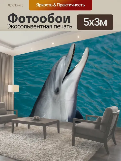 Фотообои Дельфин, Tursiops truncatus Обои Природа и Чудеса, Животные океана, морских млекопитающих Delphinidae милый…