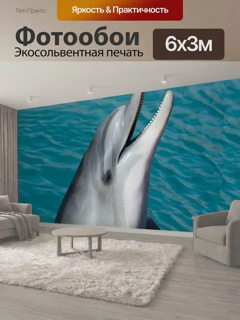 600 × 300 см · Экосольвентная печать