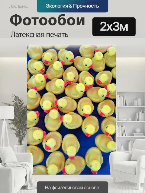 200 × 300 см · Латексная печать