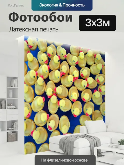 300 × 300 см · Латексная печать