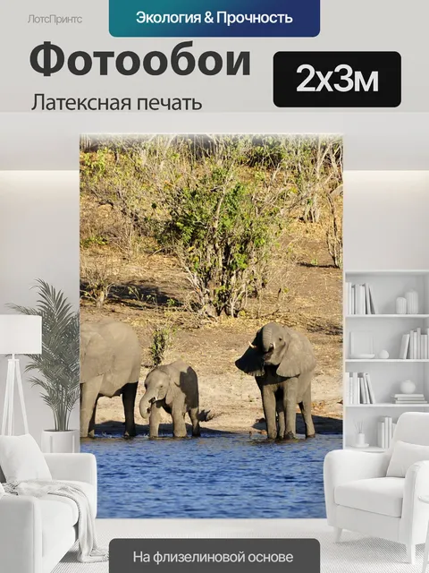 200 × 300 см · Латексная печать