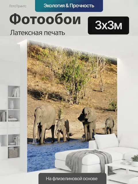 300 × 300 см · Латексная печать