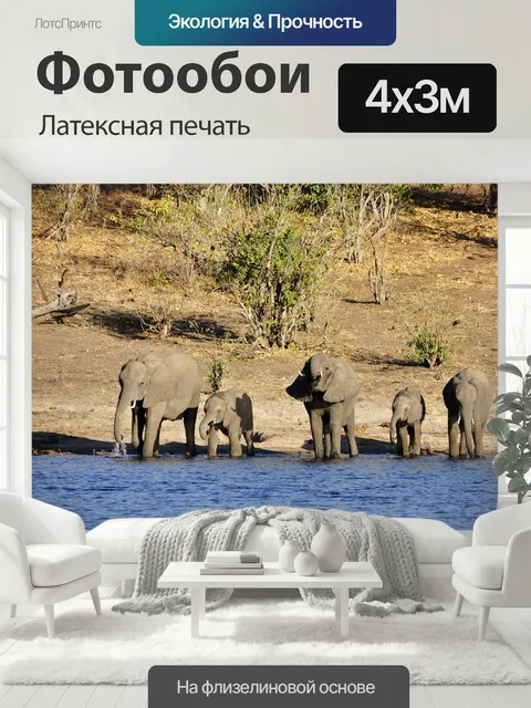 400 × 300 см · Латексная печать