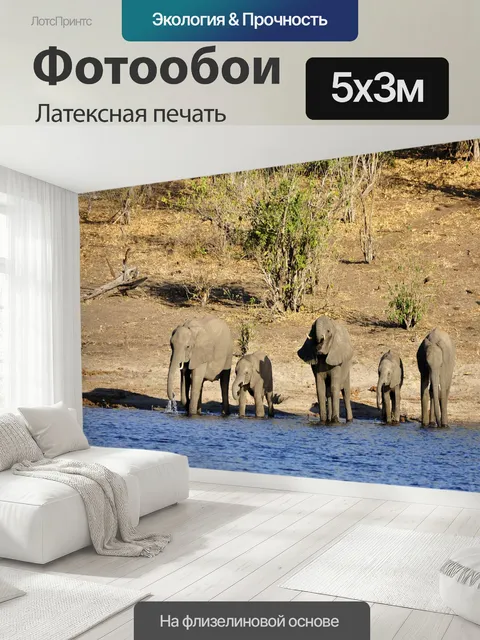 500 × 300 см · Латексная печать