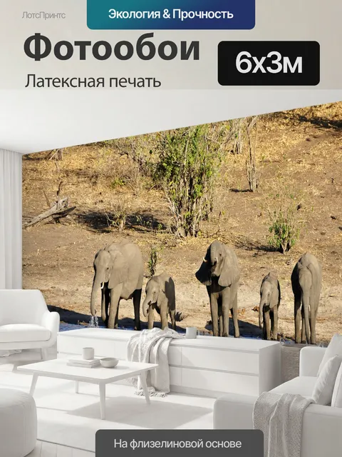 600 × 300 см · Латексная печать
