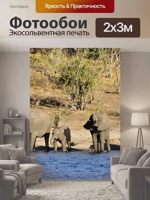 200 × 300 см · Экосольвентная печать