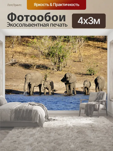 400 × 300 см · Экосольвентная печать