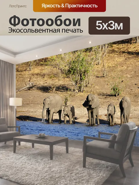 500 × 300 см · Экосольвентная печать