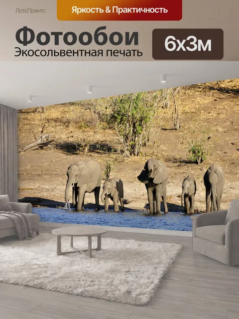 600 × 300 см · Экосольвентная печать
