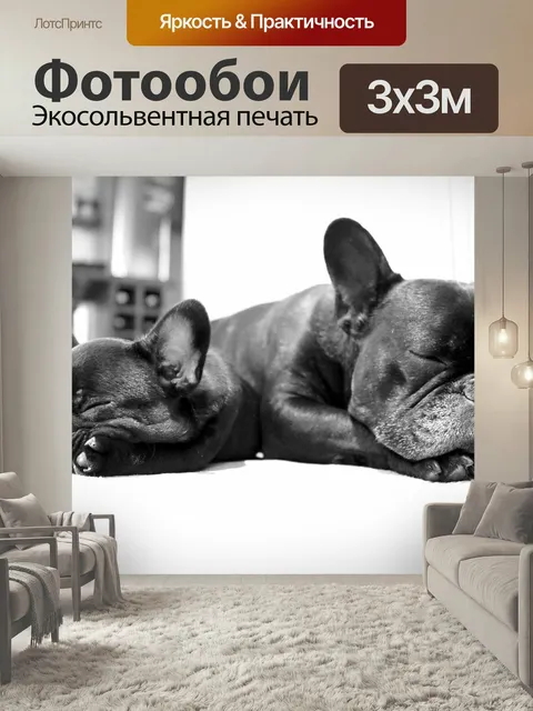 Фотообои Собака, собаки, бульдог