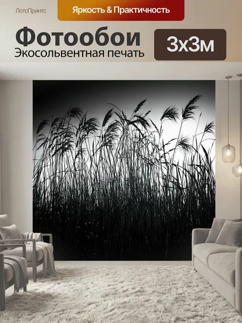 Фотообои Черно-белый, показывающие высокие травы и цветы в кромешной тьме, где техника теней и контуров активно подчер…