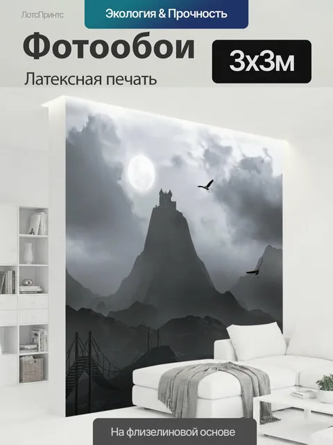 300 × 300 см · Латексная печать