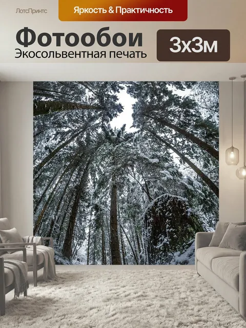 Фотообои Зима, лес, дорожка