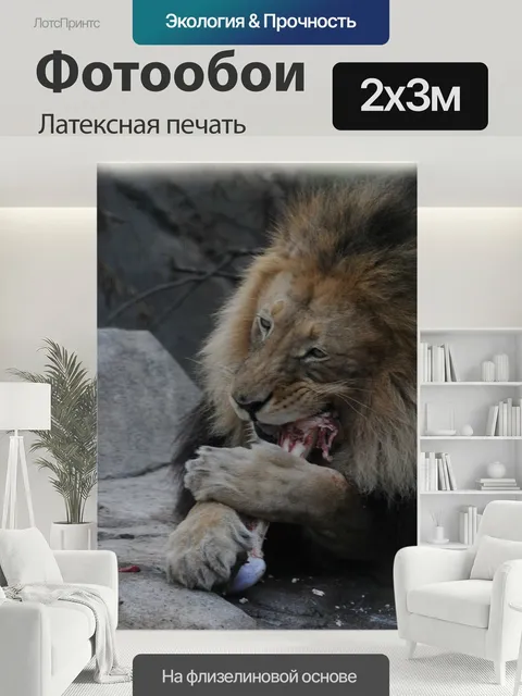 200 × 300 см · Латексная печать