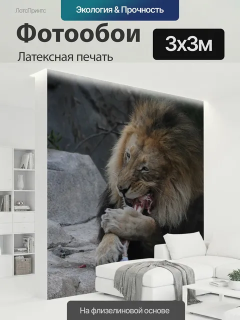 300 × 300 см · Латексная печать