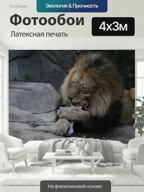 400 × 300 см · Латексная печать