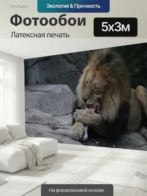 500 × 300 см · Латексная печать
