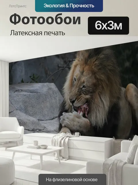 600 × 300 см · Латексная печать