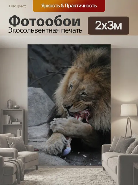 200 × 300 см · Экосольвентная печать