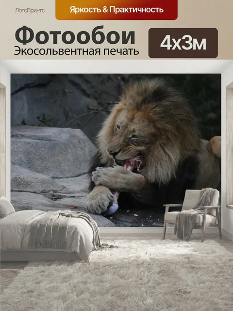 400 × 300 см · Экосольвентная печать