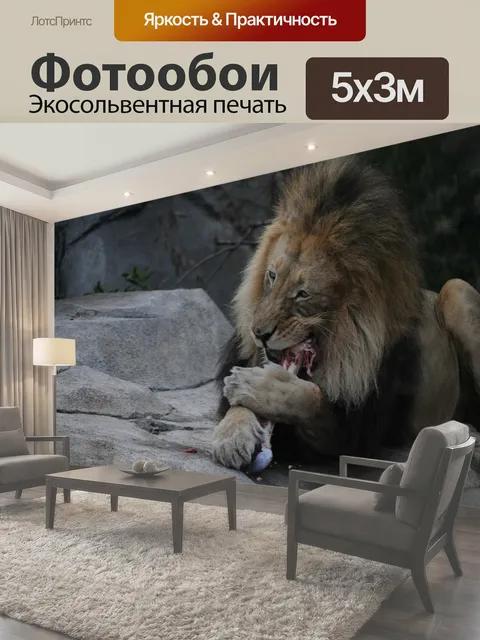 Фотообои Лев обедает Огромный лев, наслаждаясь его обед лев зверь дикий зоопарк питание кости лапы большая кошка кошка