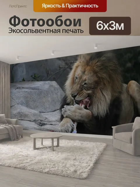 600 × 300 см · Экосольвентная печать