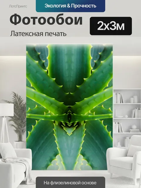 200 × 300 см · Латексная печать