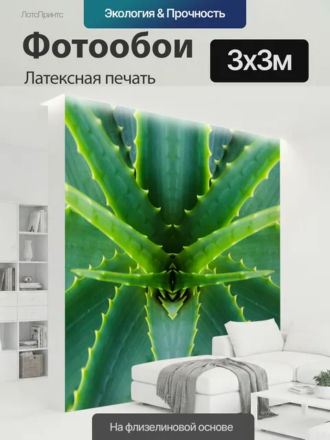 300 × 300 см · Латексная печать