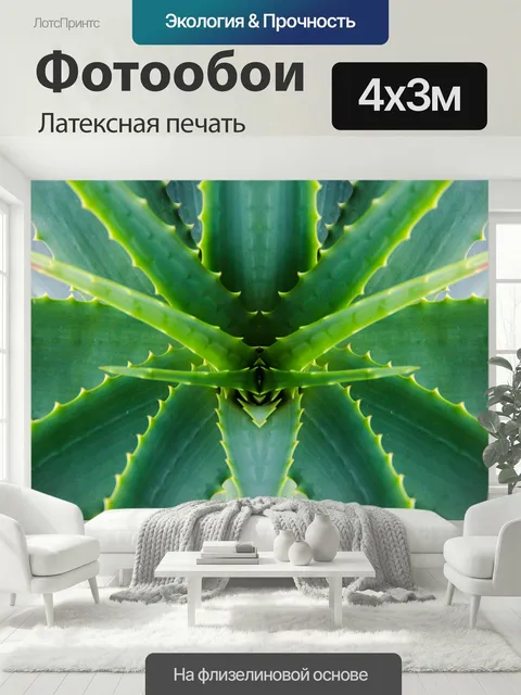 400 × 300 см · Латексная печать