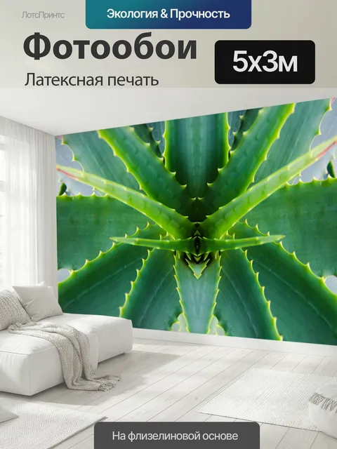 500 × 300 см · Латексная печать
