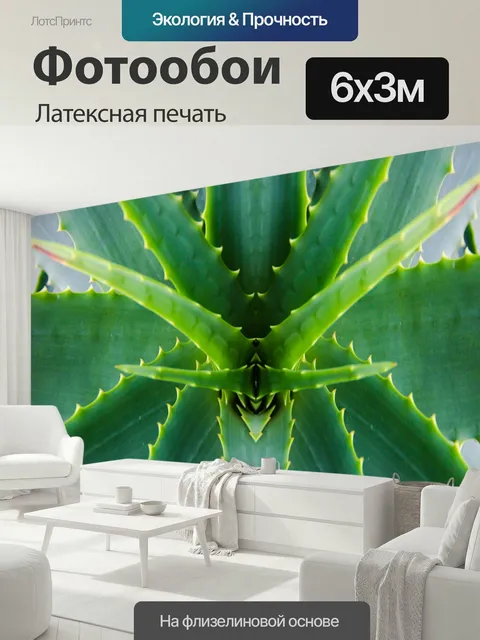 600 × 300 см · Латексная печать