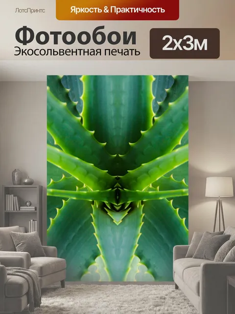 200 × 300 см · Экосольвентная печать