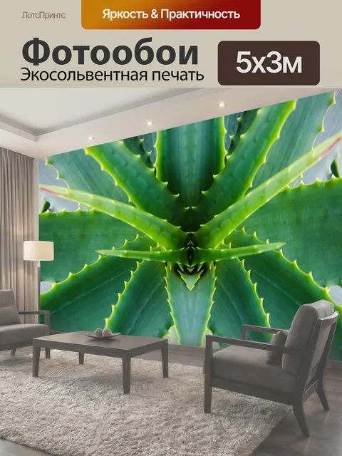 500 × 300 см · Экосольвентная печать