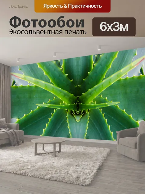 600 × 300 см · Экосольвентная печать
