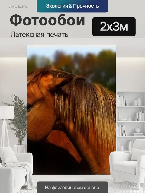 200 × 300 см · Латексная печать