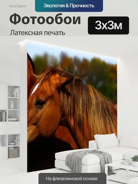 300 × 300 см · Латексная печать