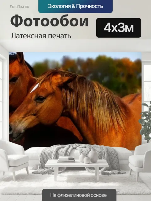 400 × 300 см · Латексная печать
