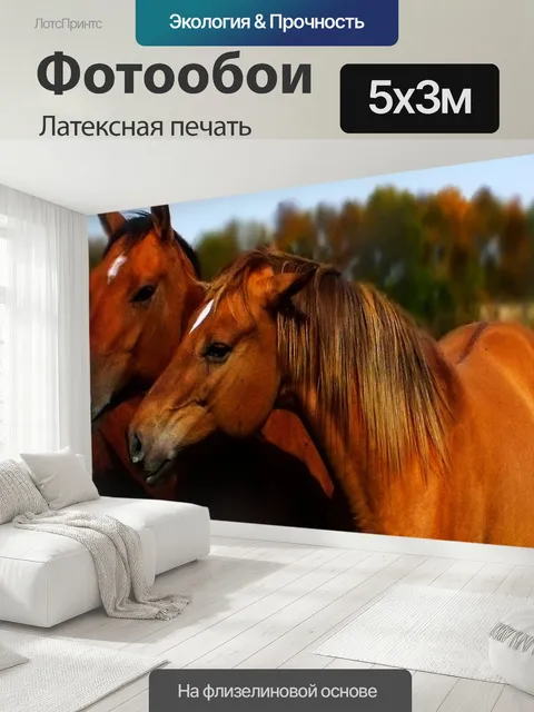 500 × 300 см · Латексная печать